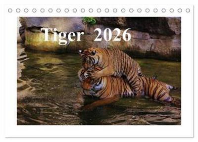 Tiger 2026 (Tischkalender 2026 DIN A5 quer), CALVENDO Monatskalender