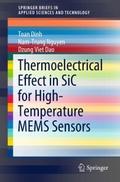 Thermoelectrical Effect in SiC for High-Temperatur