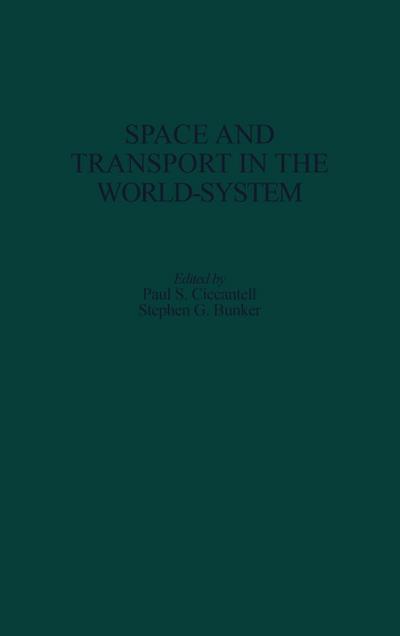 Space and Transport in the World-System