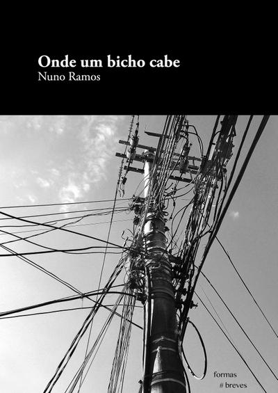 Onde um bicho cabe