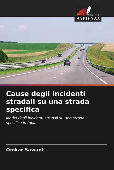 Cause degli incidenti stradali su una strada specifica