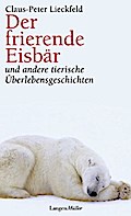 Der frierende Eisbär