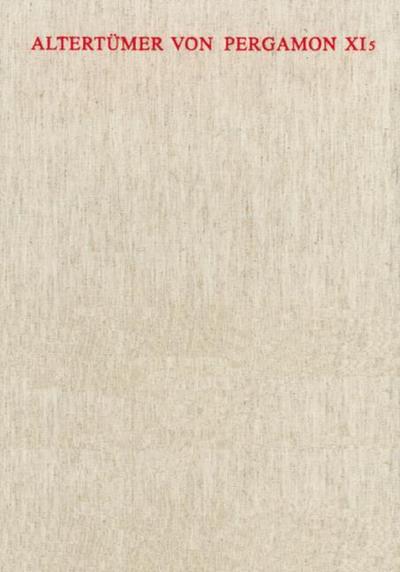 Die Platzhallen und die zugehörigen Annexbauten in römischer Zeit