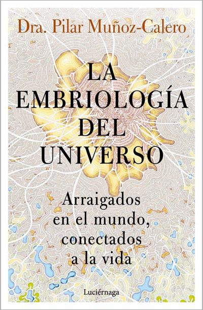 La embriología del universo