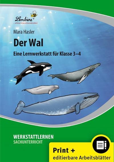 Der Wal: (3. und 4. Klasse)