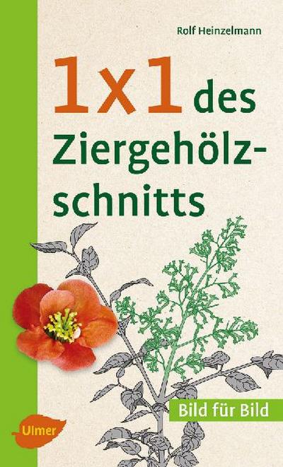 1 x 1 des Ziergehölzschnitts 