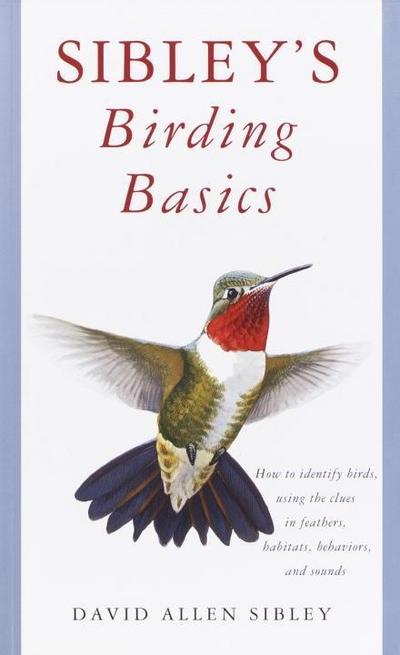 Sibley’s Birding Basics