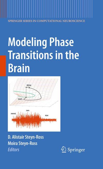 Modeling Phase Transitions in the Brain