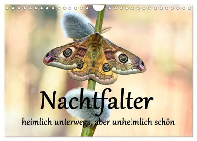 Nachtfalter - heimlich unterwegs, aber unheimlich schön (Wandkalender 2026 DIN A4 quer), CALVENDO Monatskalender