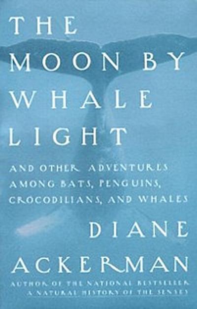 Moon By Whale Light