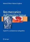 Ileo meccanico dell’intestino tenue