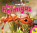 Las hormigas