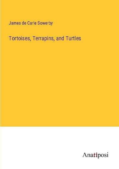 Tortoises, Terrapins, and Turtles