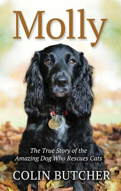 Molly: The True Story of the Amazing Dog Who Rescues Cats