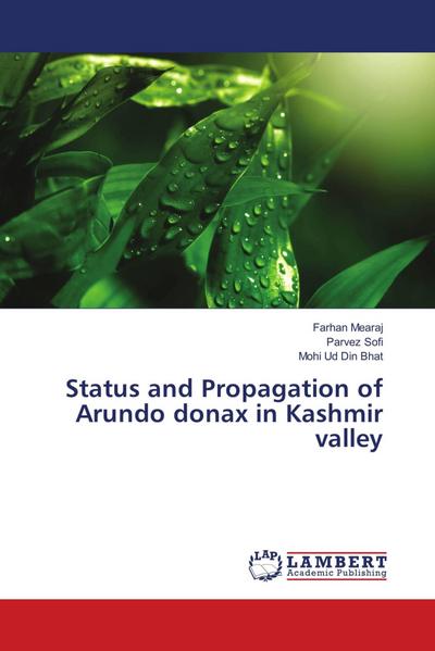 Status and Propagation of Arundo donax in Kashmir valley