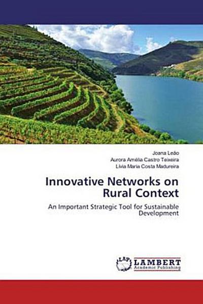 Innovative Networks on Rural Context