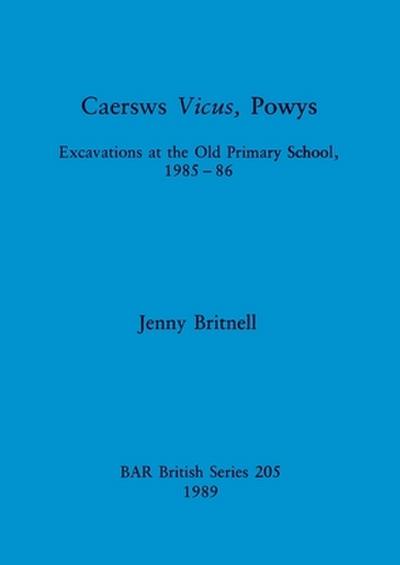 Caersws Vicus, Powys