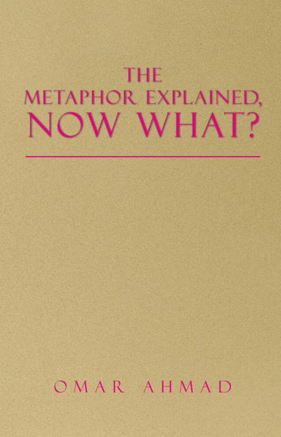 The Metaphor Explained, Now What?