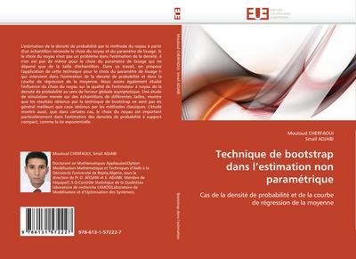 Technique de bootstrap dans l’estimation non paramétrique