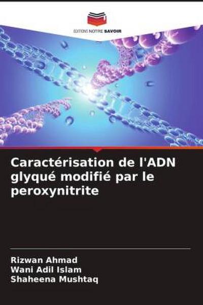 Caractérisation de l’ADN glyqué modifié par le peroxynitrite
