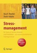 Stressmanagement für Teams in Service, Gewerbe und Produktion - ein ressourcenorientiertes Trainingsmanual