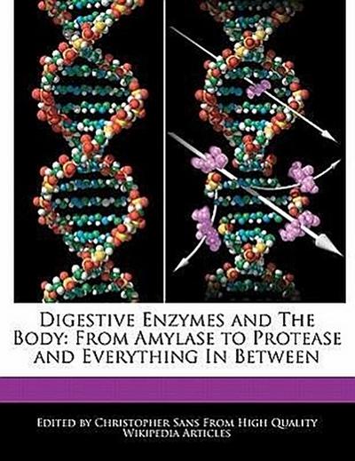 Digestive Enzymes and the Body: From Amylase to Protease and Everything in Between - Christopher Sans