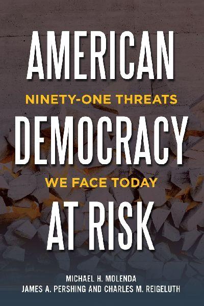 American Democracy at Risk