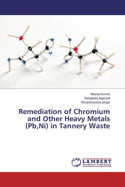 Remediation of Chromium and Other Heavy Metals (Pb,Ni) in Tannery Waste