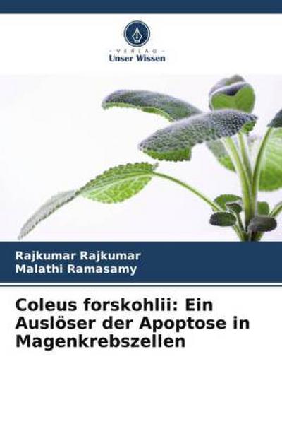 Coleus forskohlii: Ein Auslöser der Apoptose in Magenkrebszellen