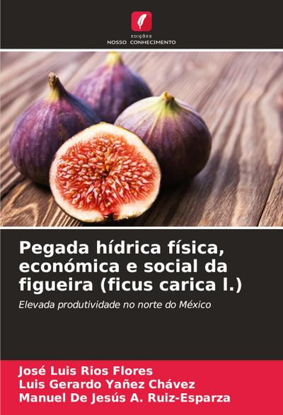 Pegada hídrica física, económica e social da figueira (ficus carica l.)