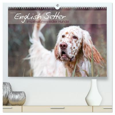 English Setter ¿ Impressionen edler Hunde (hochwertiger Premium Wandkalender 2024 DIN A2 quer), Kunstdruck in Hochglanz