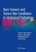Rare Tumors and Tumor-like Conditions in Urological Pathology