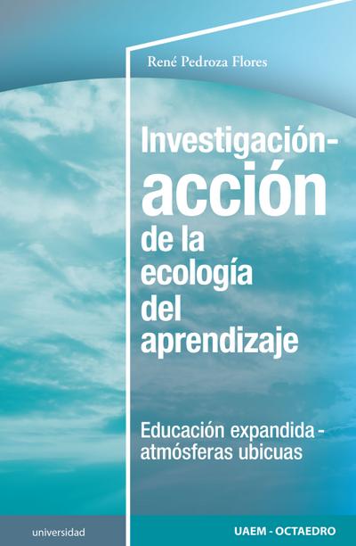 Investigación-acción de la ecología del aprendizaje