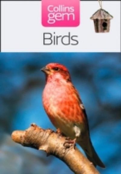 Birds (Collins Gem)