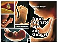 Neun Monate bis zur Geburt