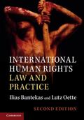 International Human Rights Law and Practice