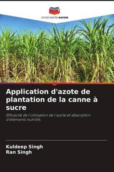 Application d’azote de plantation de la canne à sucre