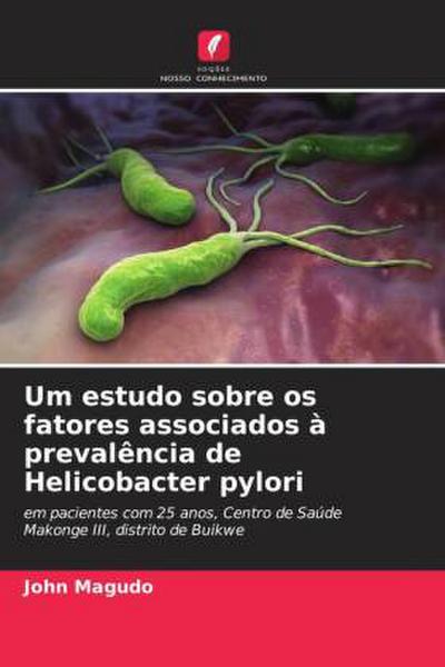 Um estudo sobre os fatores associados à prevalência de Helicobacter pylori