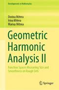 Geometric Harmonic Analysis II