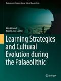 Learning Strategies and Cultural Evolution during 