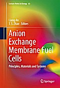 Anion Exchange Membrane Fuel Cells