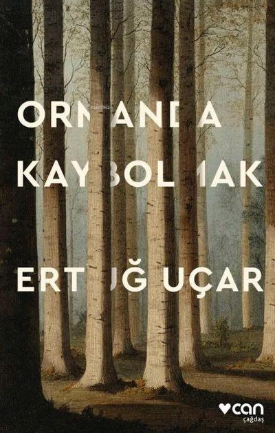 Ormanda Kaybolmak