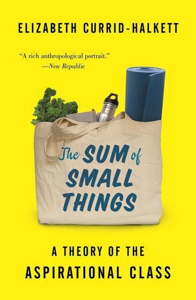 The Sum of Small Things: A Theory of the Aspirational Class - Elizabeth Currid-Halkett
