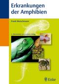 Erkrankungen der Amphibien