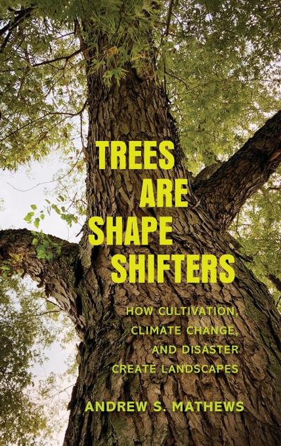 Trees Are Shape Shifters