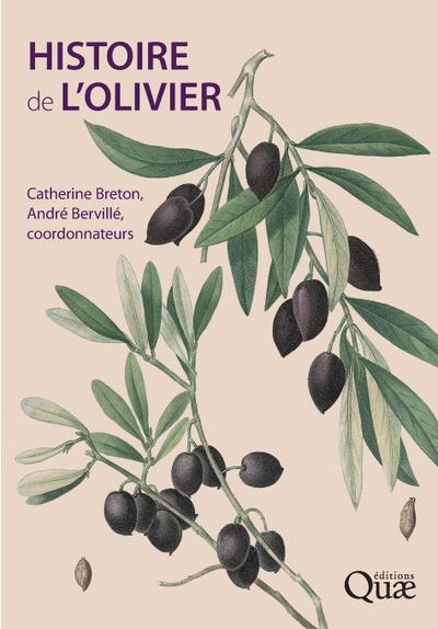 Histoire de l’olivier