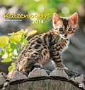Exquisit, Katzenbabys 2014