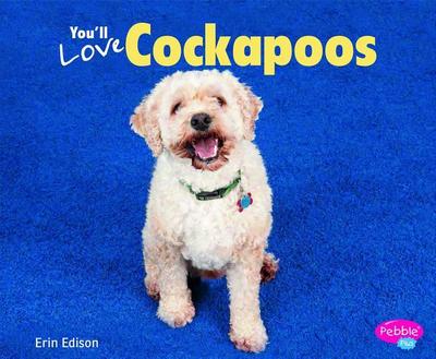 You’ll Love Cockapoos