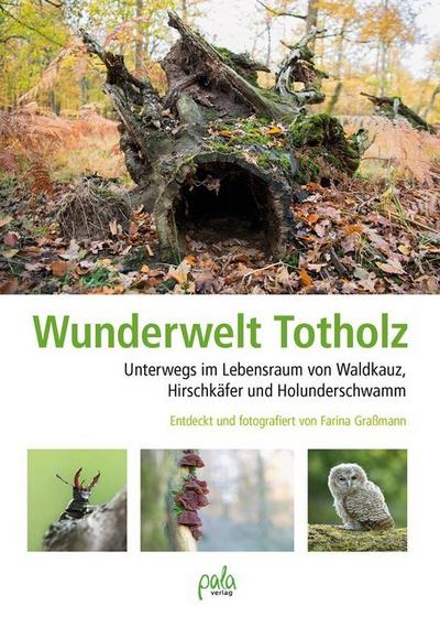 Wunderwelt Totholz 