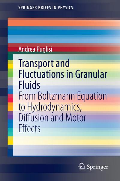 Transport and Fluctuations in Granular Fluids